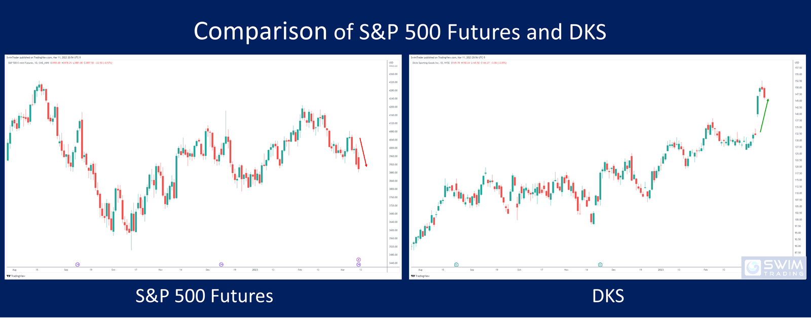 Comparison between the S&P 500 futures and DICK's Sporting Goods
